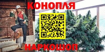 шишки Будённовск