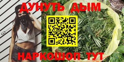 шишки Будённовск
