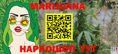 шишки Будённовск