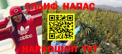 шишки Будённовск