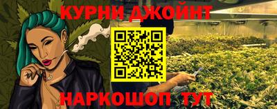 шишки Будённовск