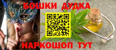 шишки Будённовск
