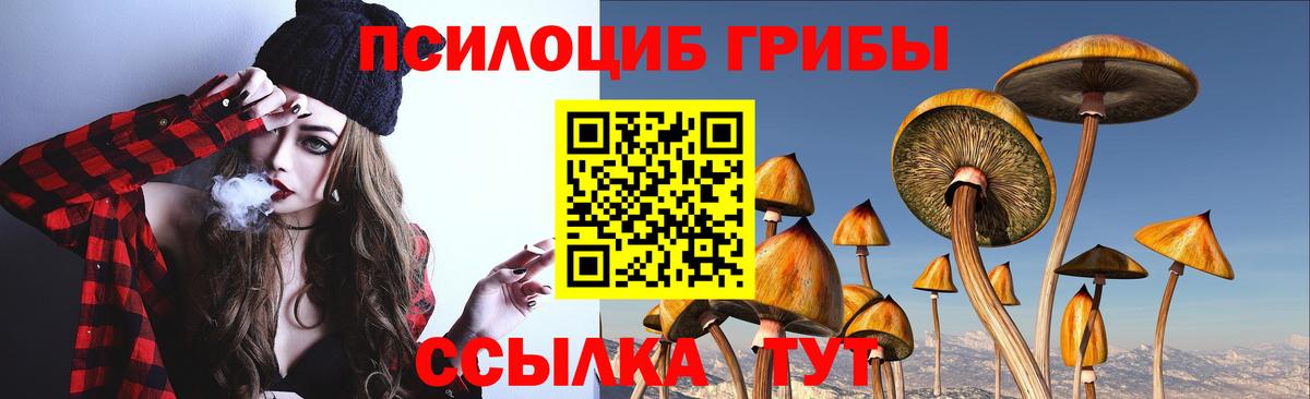 Серпухов  Галлюциногенные грибы MAGIC MUSHROOMS  Вход с VPN  Галлюциногенные грибы Cubensis 